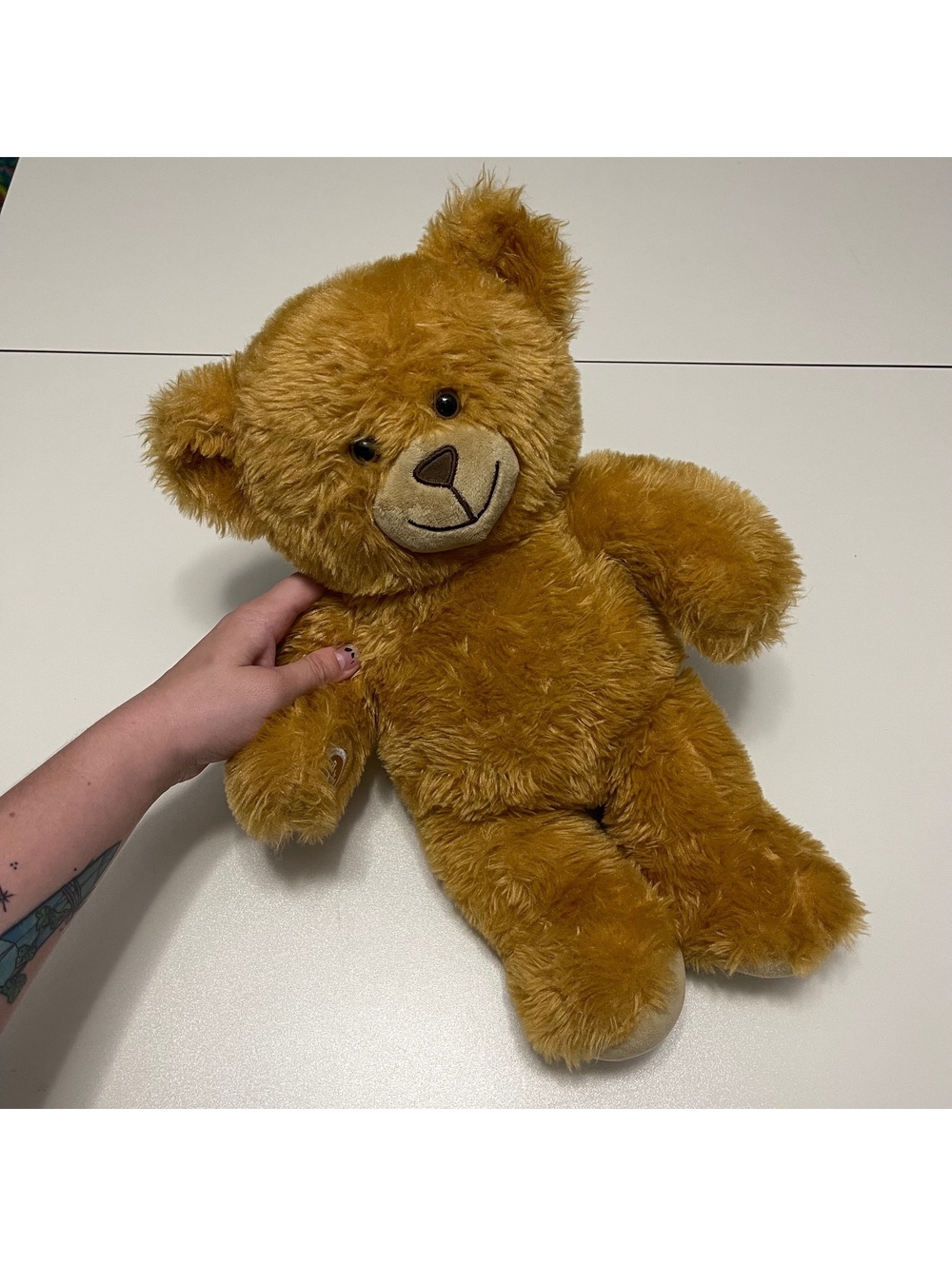 Build A Bear Workshop Read Teddy Bear Plus Toy Stuffed Animal